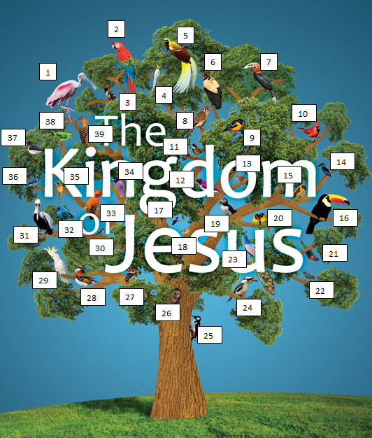The Kingdom of Jesus Birds
